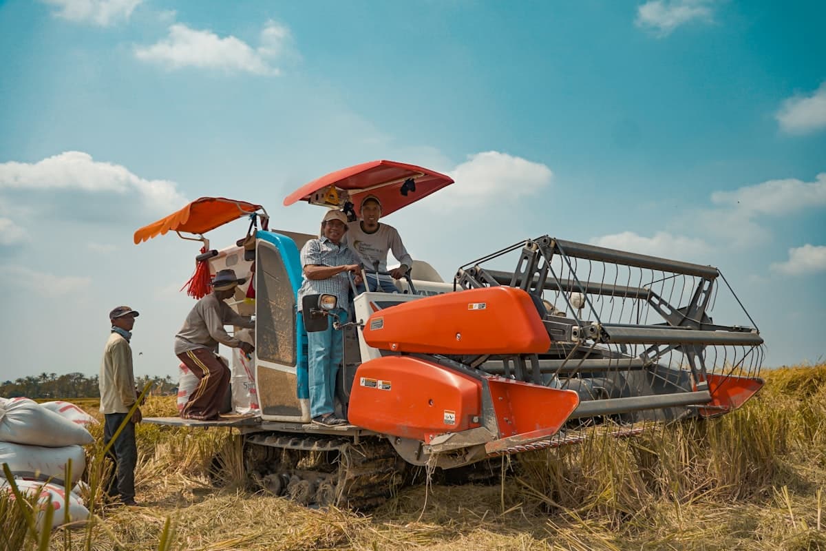 Bán máy tuốt lúa liên hoàn 5HP, Kiên Giang