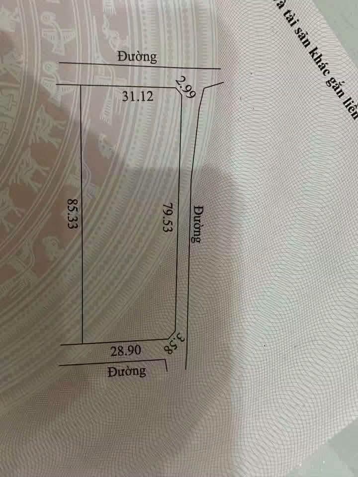 3 xào cà phê Ia H'rung — 800tr