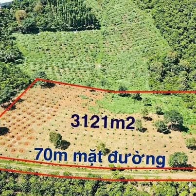 3121m2 đất vườn Tân Lạc, Lâm Đồng