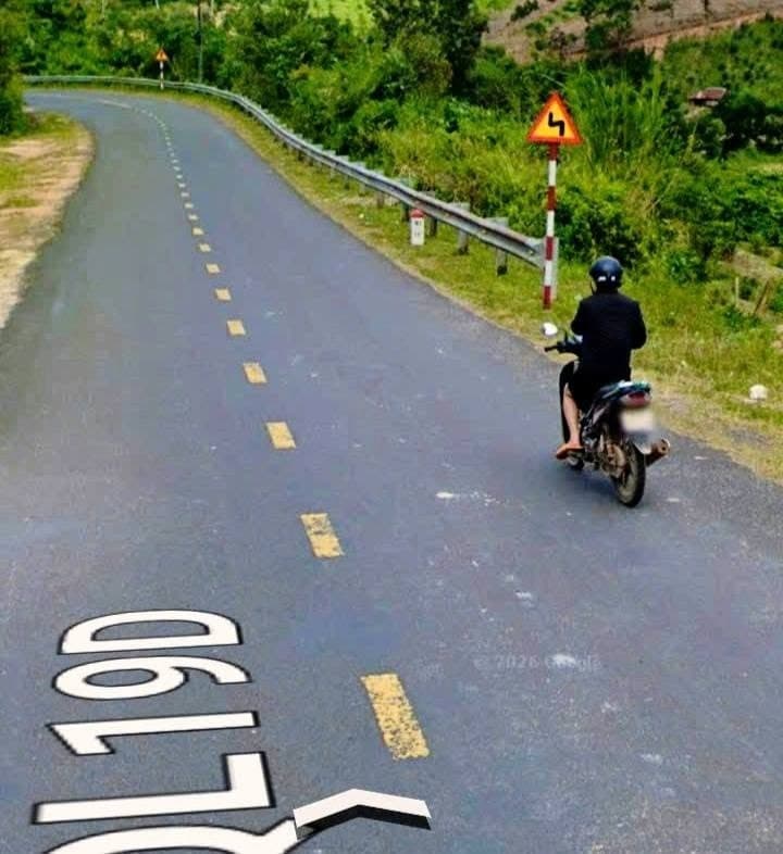8,3 sào cà phê tơ mặt QL19B, Đắk Đoa, Gia Lai — 2,5 tỷ - ảnh 3