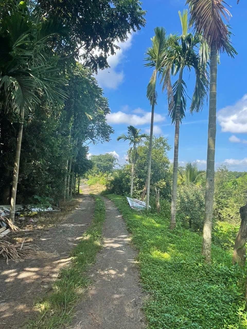 9 sào Ea Nuôl, Buôn Đôn — 350tr/sào