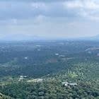 BÁN 1,7HA ĐẤT VƯỜN TÂN LẠC – VIEW ĐẸP, CÓ SẴN NGUỒN THU