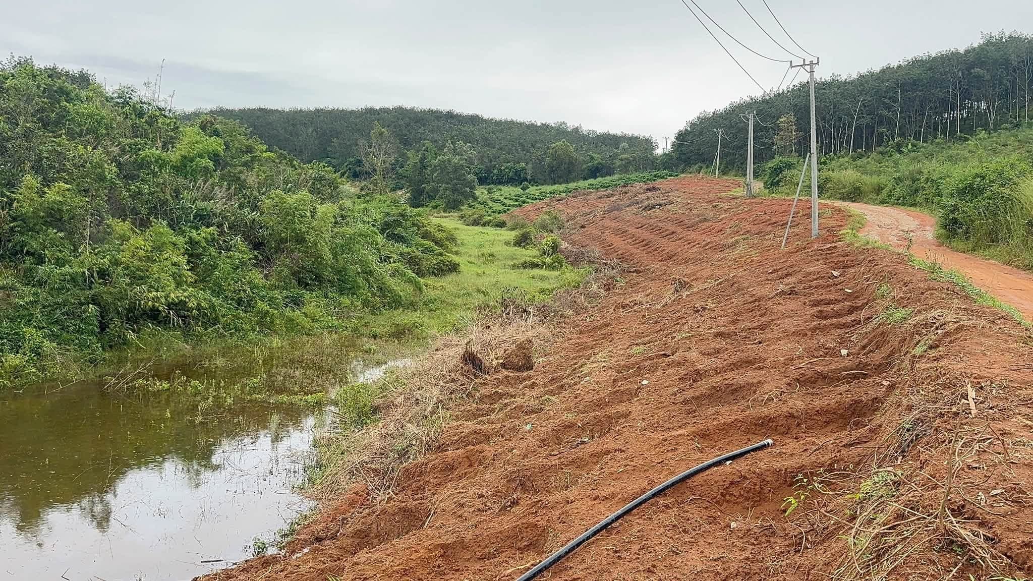 Bán 1,8ha đất mặt đường tại Ngọc Tụ, Đắk Tô, Kon Tum - ảnh 2