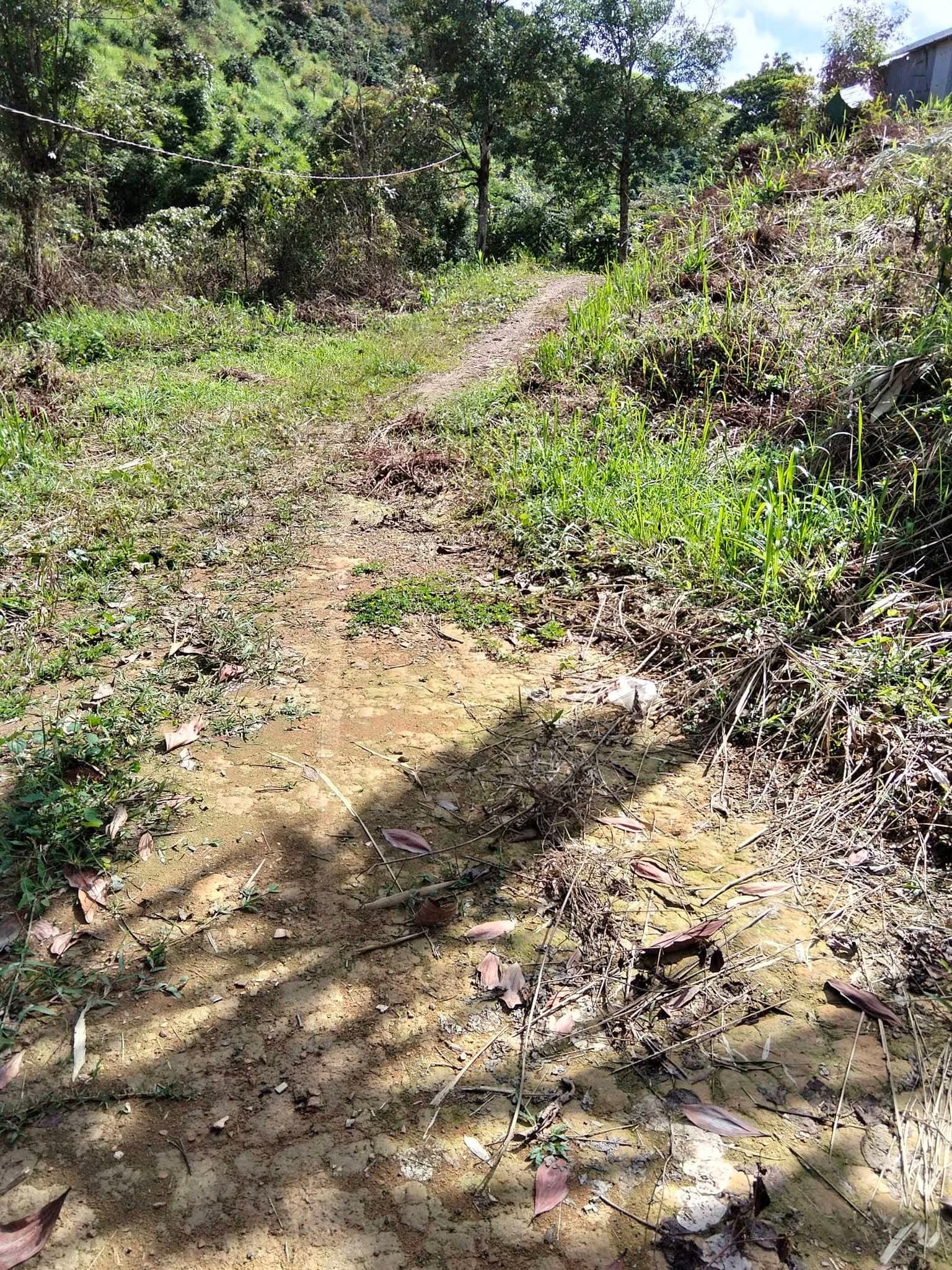 Bán 1ha sổ đủ tại Đăk Ha — 1,25 tỷ