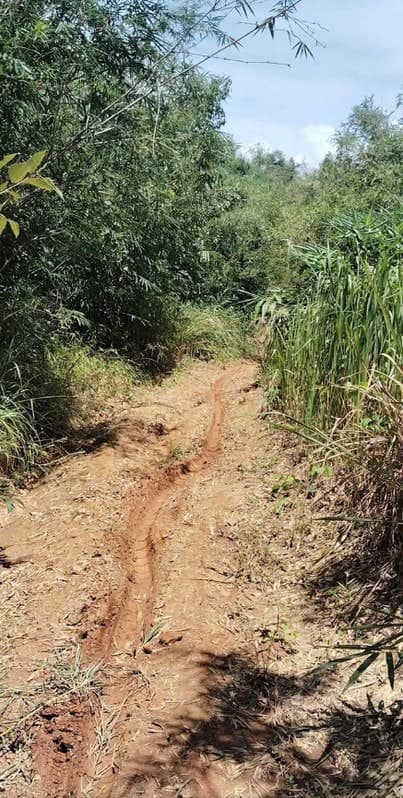 Bán 2,1ha đất đỏ bazan tại Kon Tum, giáp suối, sổ sẵn