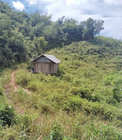 Bán 2,1ha đất đỏ bazan tại Kon Tum, giáp suối, sổ sẵn - ảnh 2
