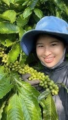 Bán 2.2ha rẫy cà phê đang kinh doanh, Esin Krông Búk - ảnh 2