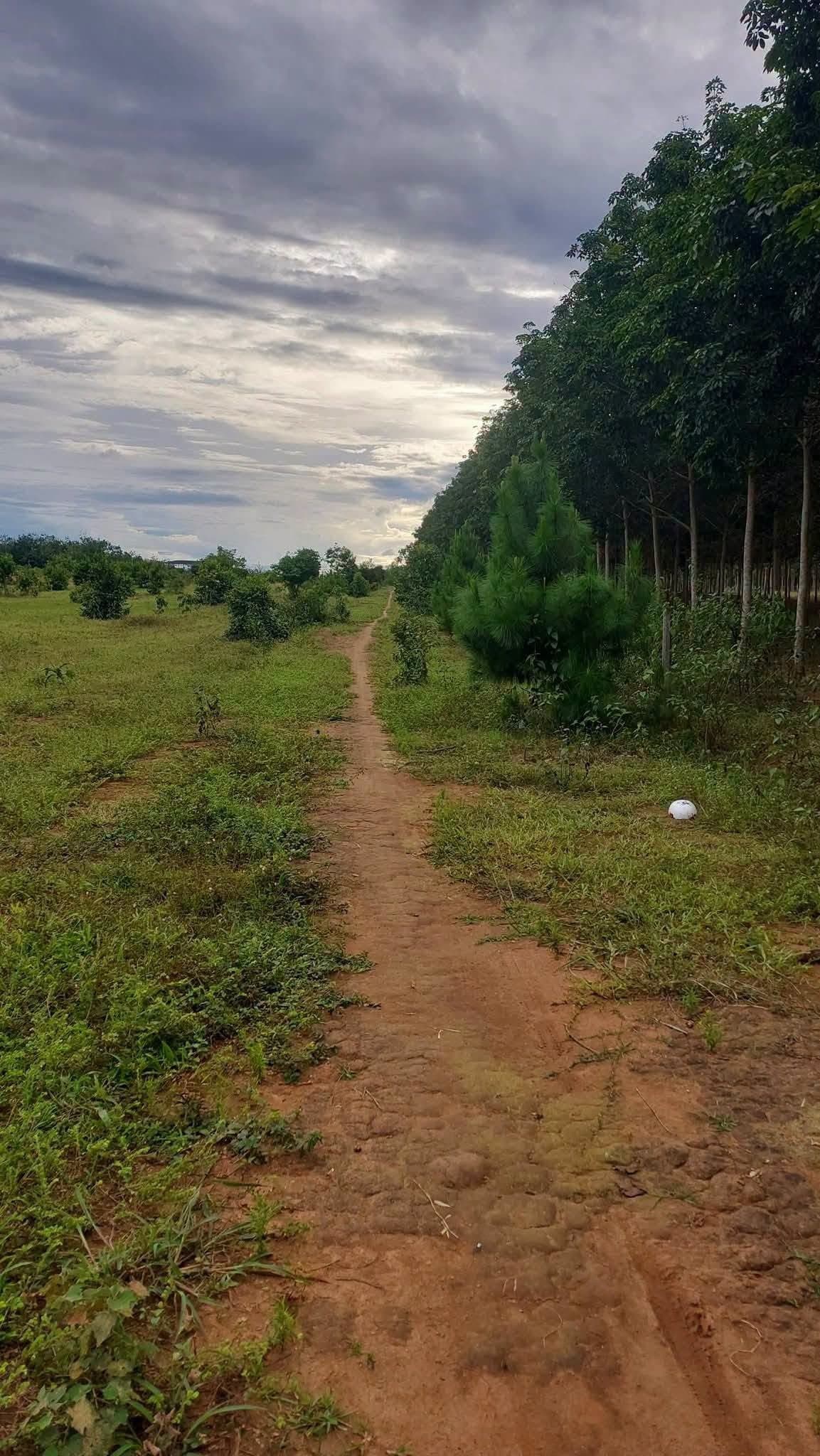 Bán 3,2 sào đất nông nghiệp (P. Ngô Mây, Kon Tum)