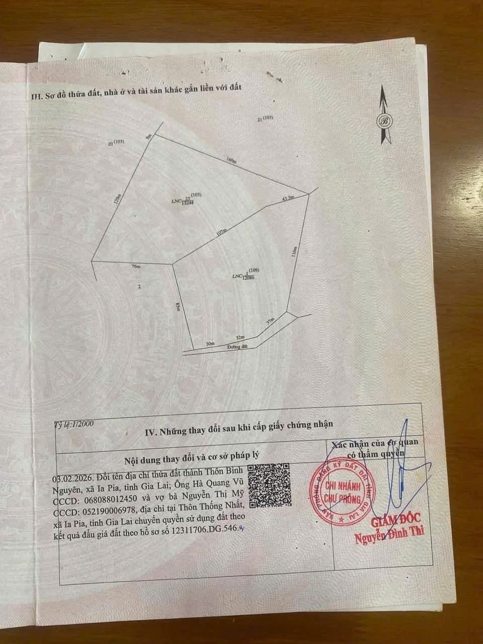 Bán 3ha cà phê tơ năm 2 tại Ia Pia, Chư Prông, Gia Lai - ảnh 2