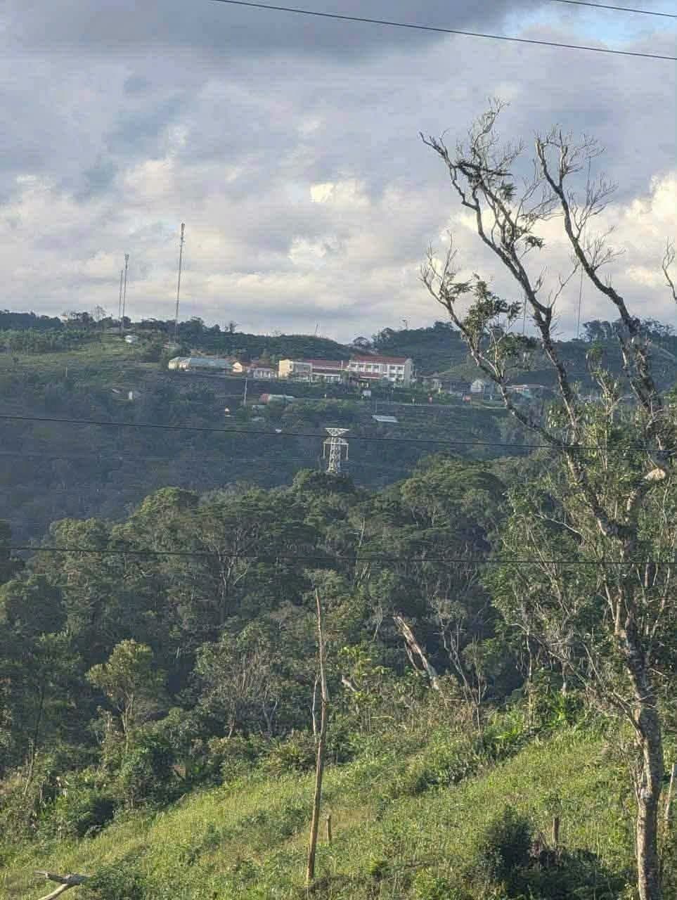 Bán 5.500m² đất tại Hiếu, Măng Đen view thung lũng - ảnh 3