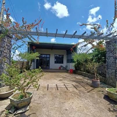 Bán đất 2640m² có vườn cà phê (hẻm Trương Định, Bảo Lâm)