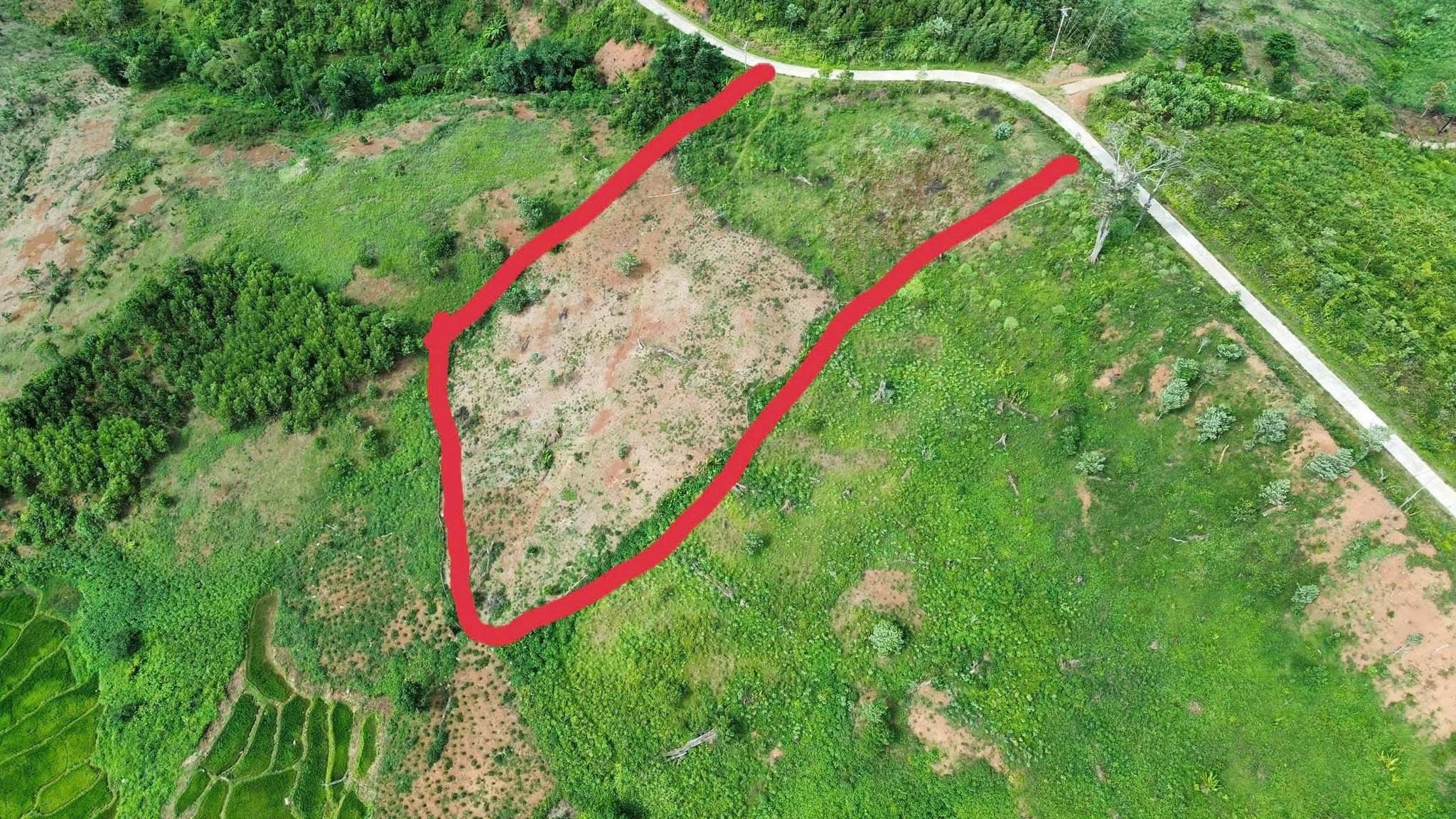 Bán đất nông nghiệp tại Kon Plong, Kon Tum