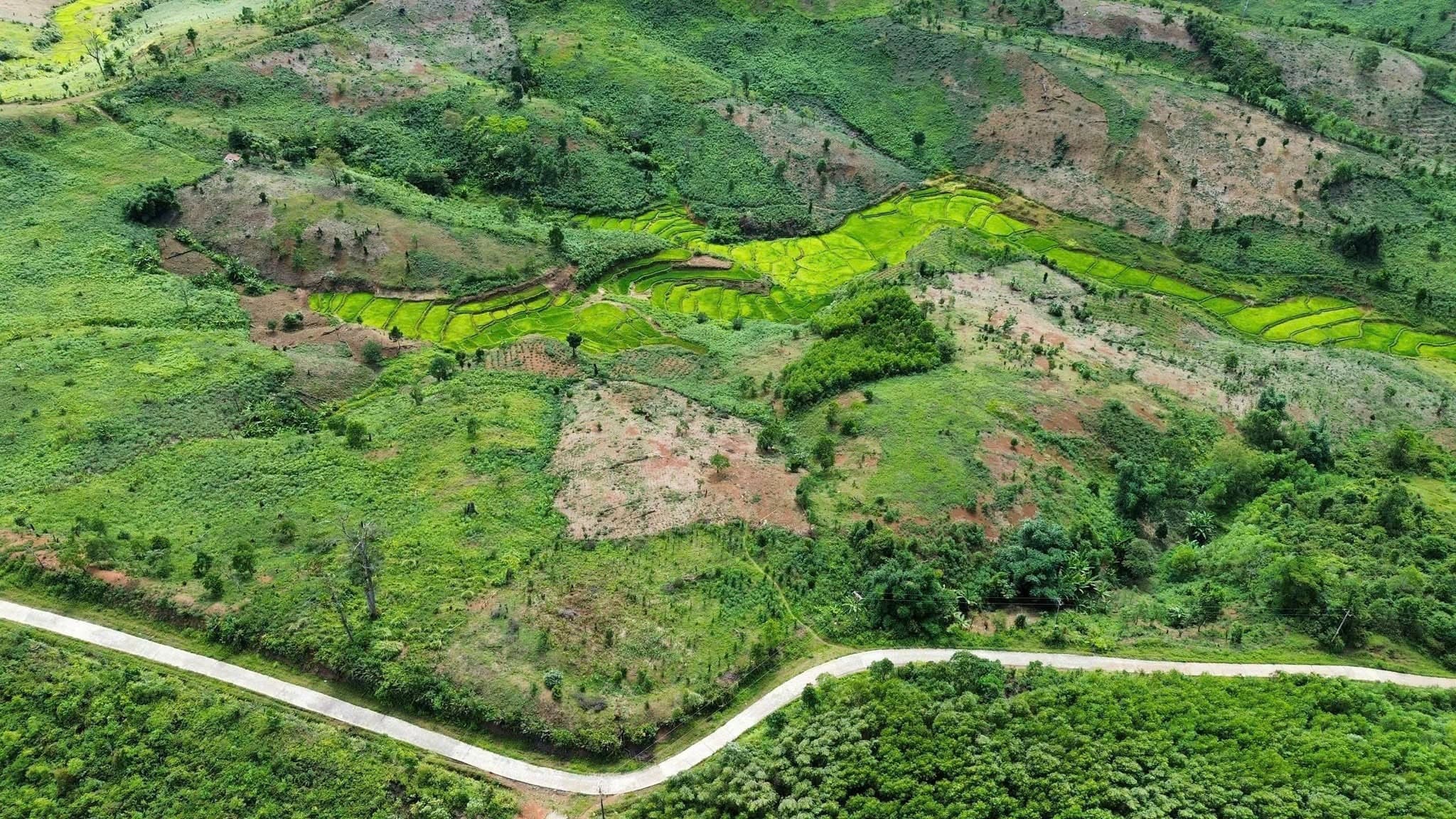 Bán đất nông nghiệp tại Kon Plong, Kon Tum - ảnh 2