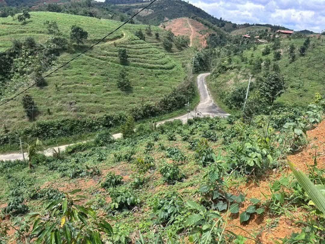 Bán nhanh 9 sào đất tại Bảo Lâm