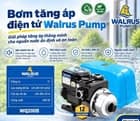 Bơm tăng áp điện tử Walrus WQ-B