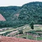 Cần bán