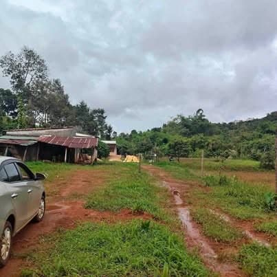 Cần bán rẫy 1,9ha tại Đắk Ha, Gia Nghĩa — 3xxx tỷ