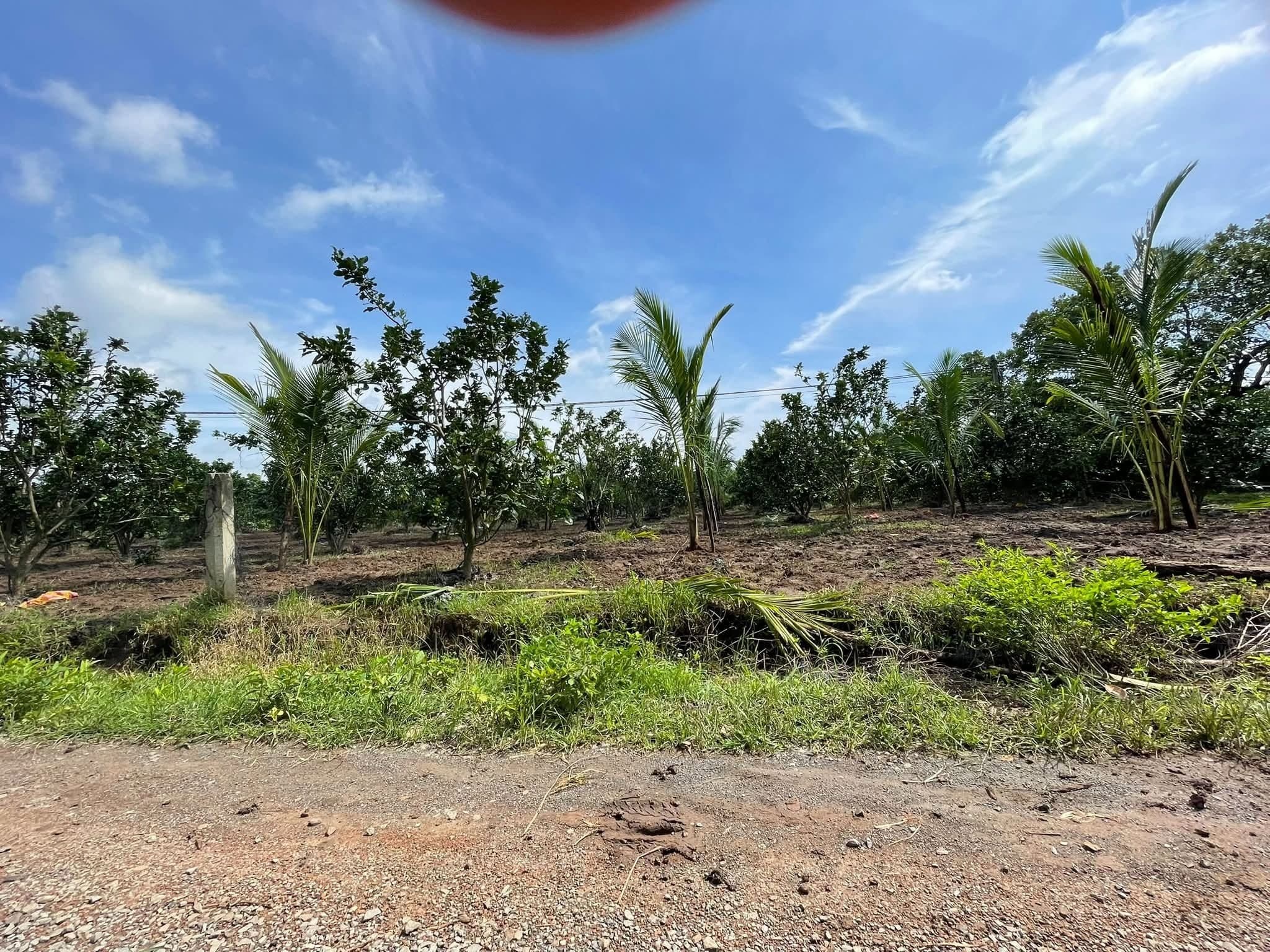 Cho thuê 5.000m² đất tại Quảng Hiệp, Cư M'gar