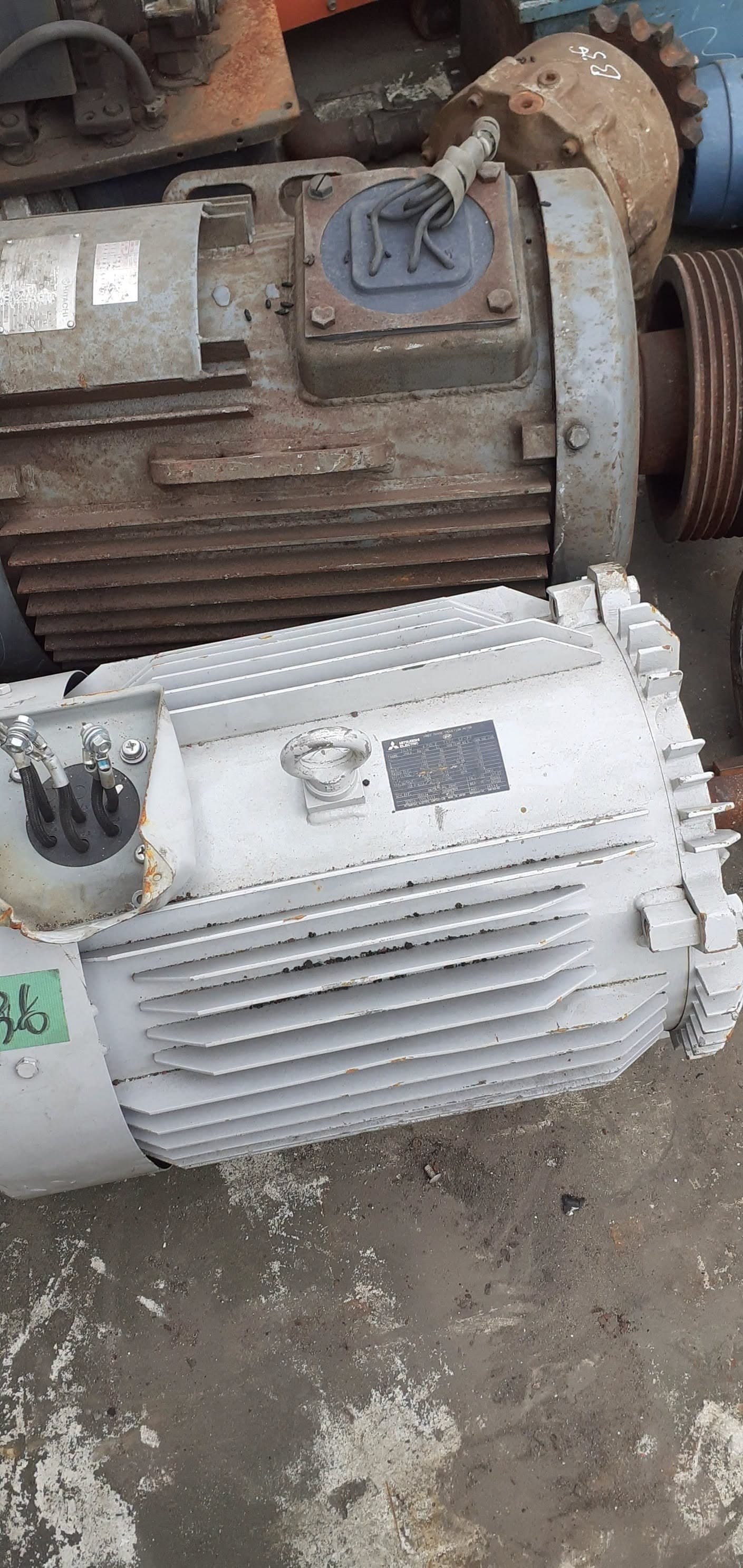 Cung cấp động cơ 3 pha Nhật - ảnh 2