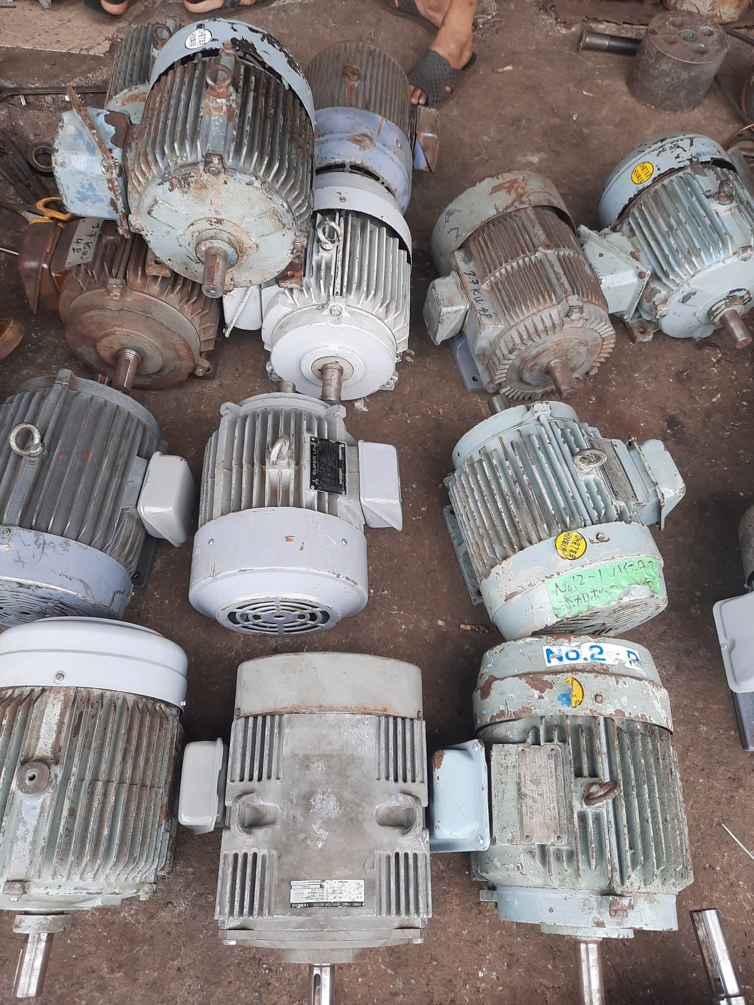 Cung cấp động cơ 3 pha Nhật - ảnh 20