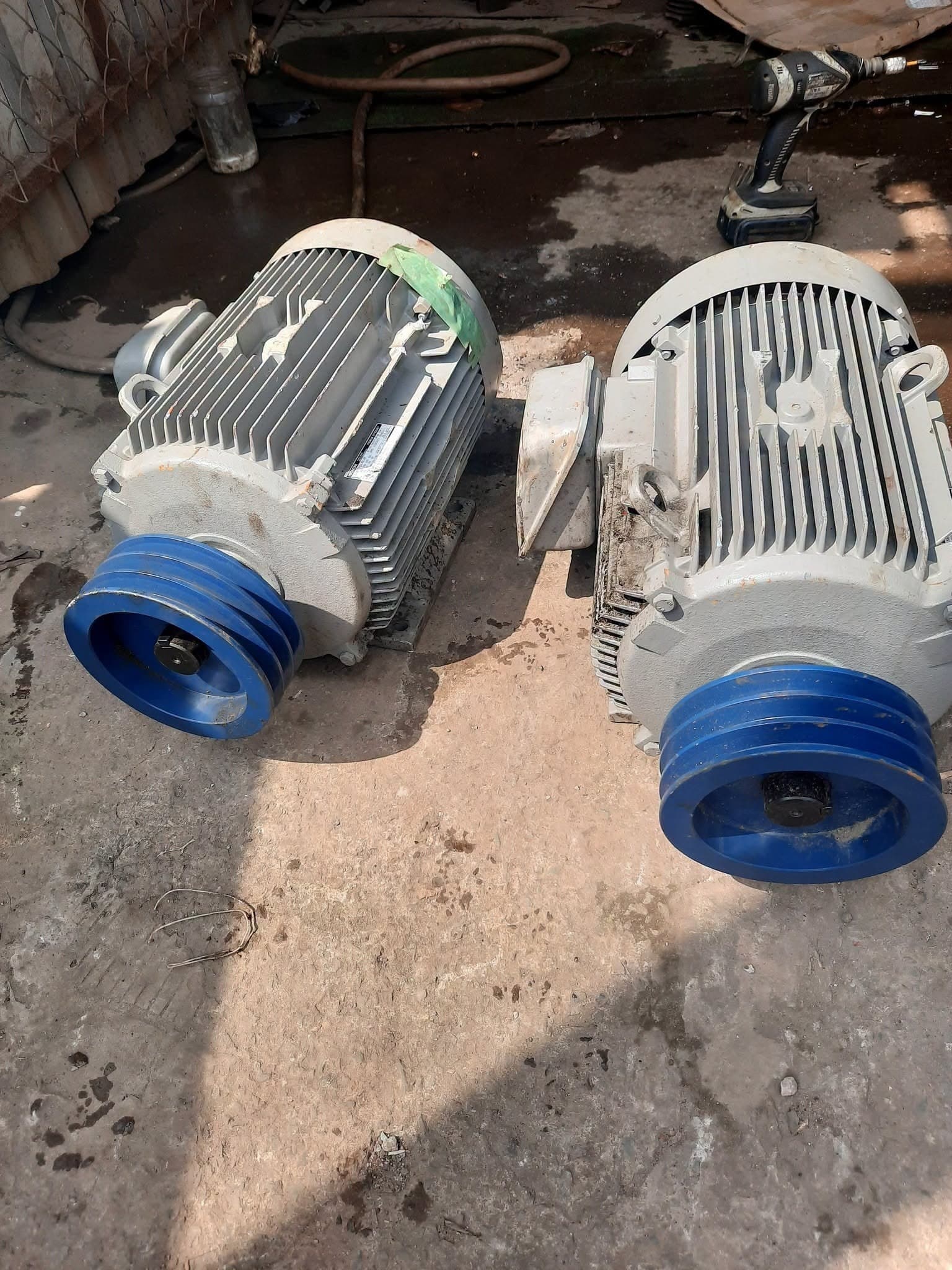 Cung cấp động cơ 3 pha Nhật - ảnh 7