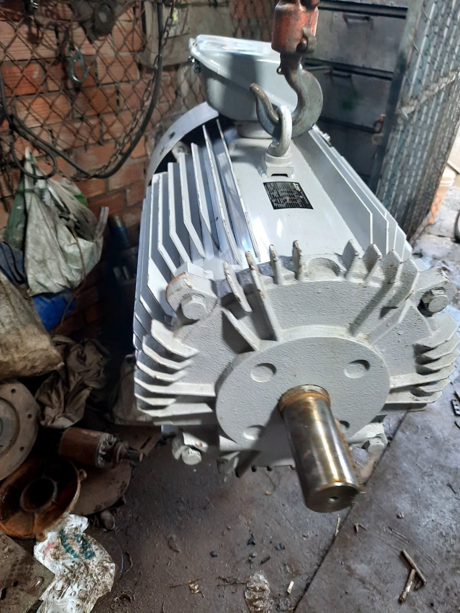 Cung cấp động cơ 3 pha Nhật - ảnh 8
