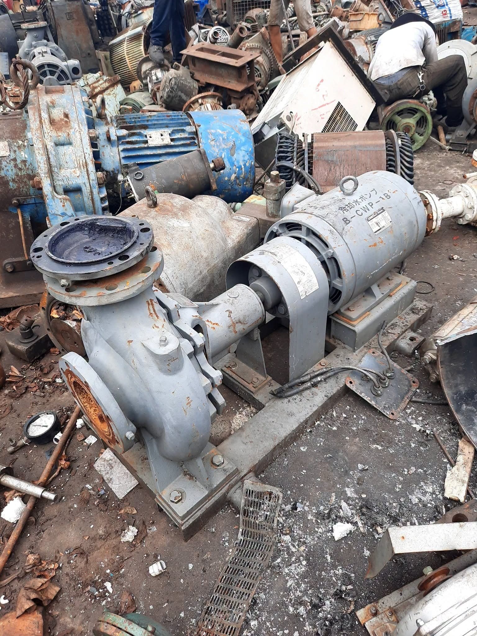 Cung cấp động cơ 3 pha Nhật - ảnh 9