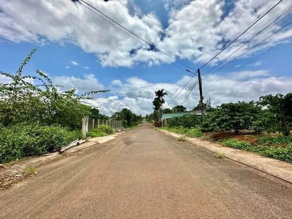 Đất 1300m² view hồ Pleiku - ảnh 2