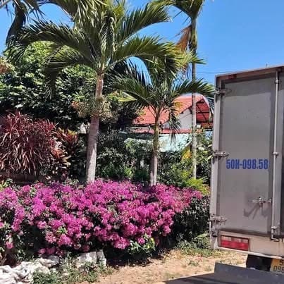 Đất 5x35m hẻm Lý Chính Thắng, Pleiku — 4xx triệu
