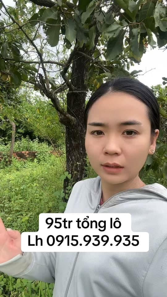 Đất 7000m² Chư Prong, Gia Lai
