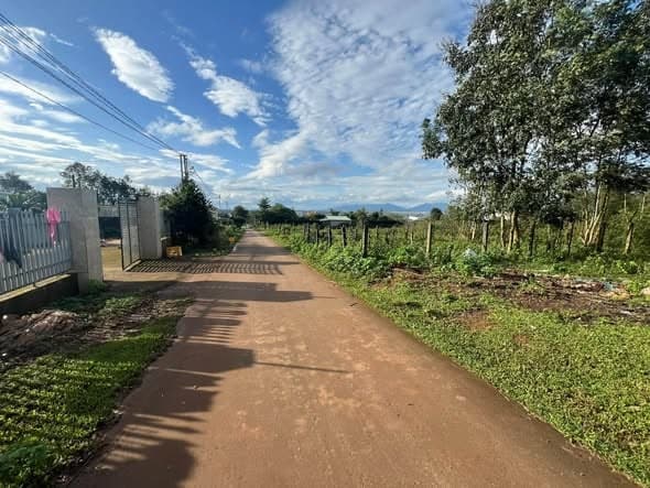 Đất đồi thông 5x47 Pleiku