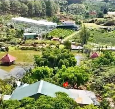 Khu đất kinh doanh nghỉ dưỡng cà phê view đồi Đà Lạt