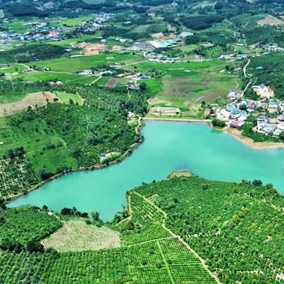 Rẫy 2ha Bắc Gia Nghĩa, Lâm Đồng (2)
