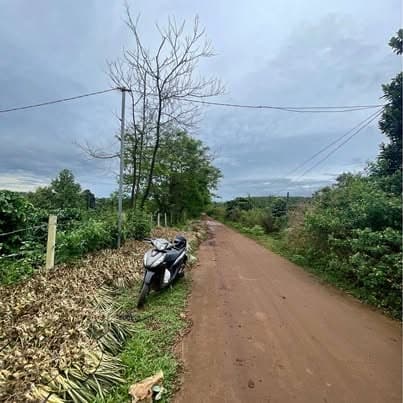 Vườn 3.840m² cà phê + sầu riêng xã Gào, Pleiku — 1 tỷ xx