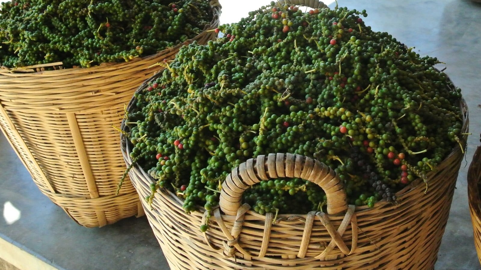 Giỏ tiêu tươi vừa thu hoạch
