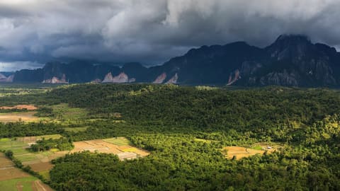 Mây dông đen kéo đến trên cánh đồng