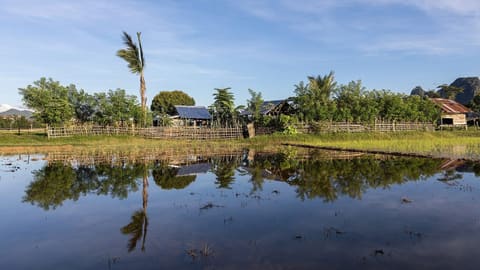 Xóm làng bên cánh đồng trong ngày nắng